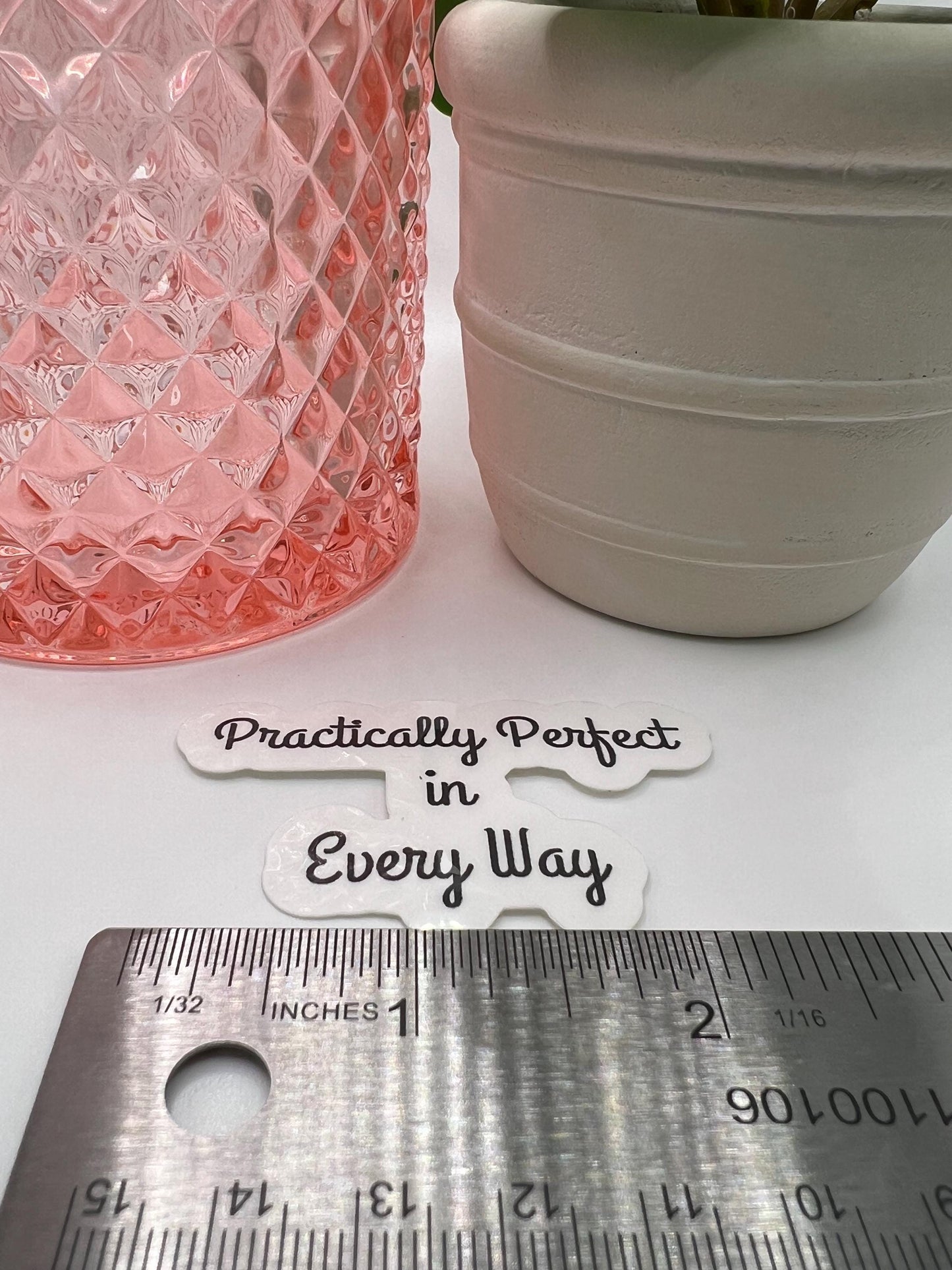 Practically Perfect in Every Way - waterproof, perfect for water bottles, laptops