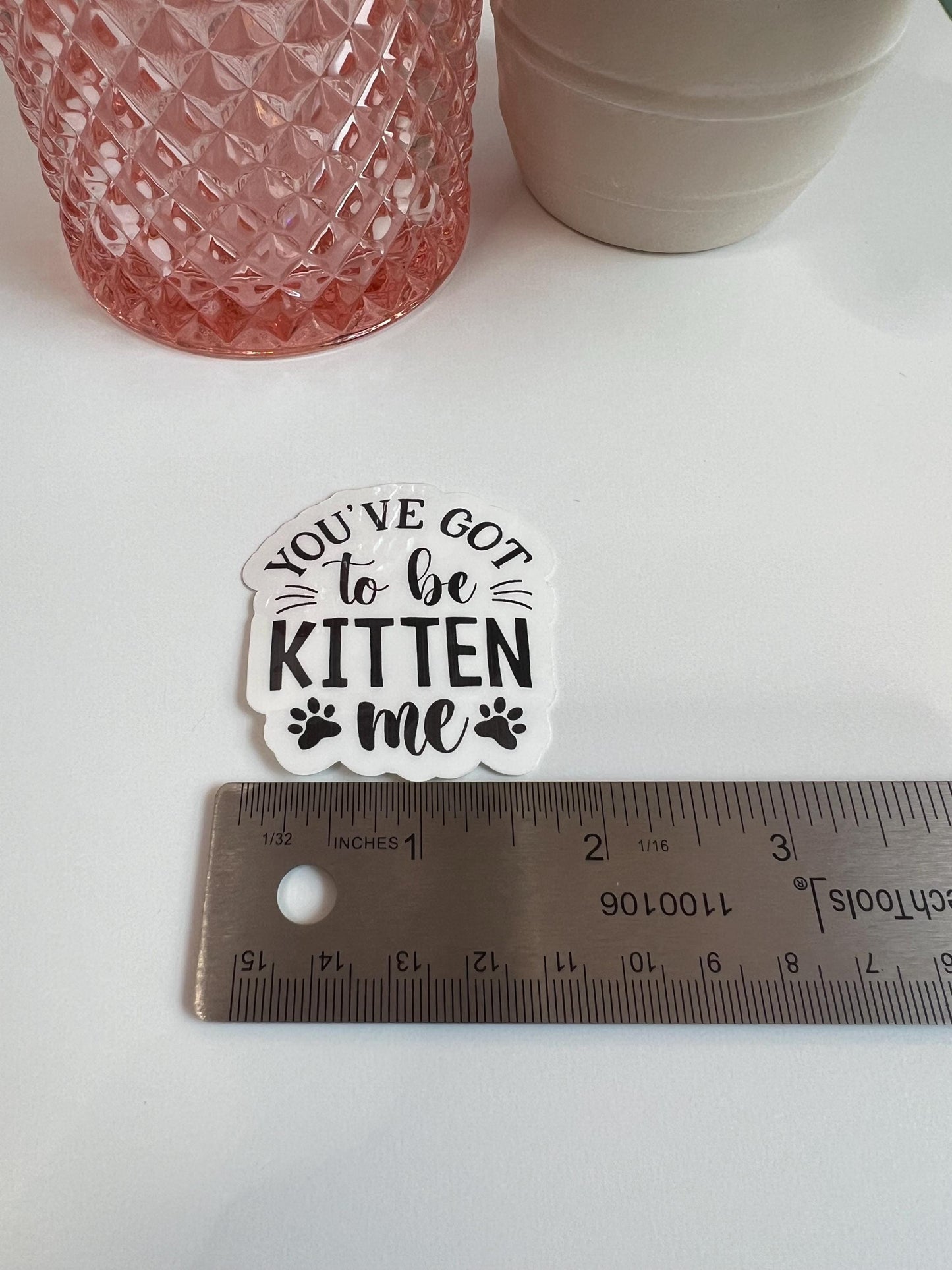 You've Got To Be Kitten Me Sticker: Water-Resistant Laptop Decal
