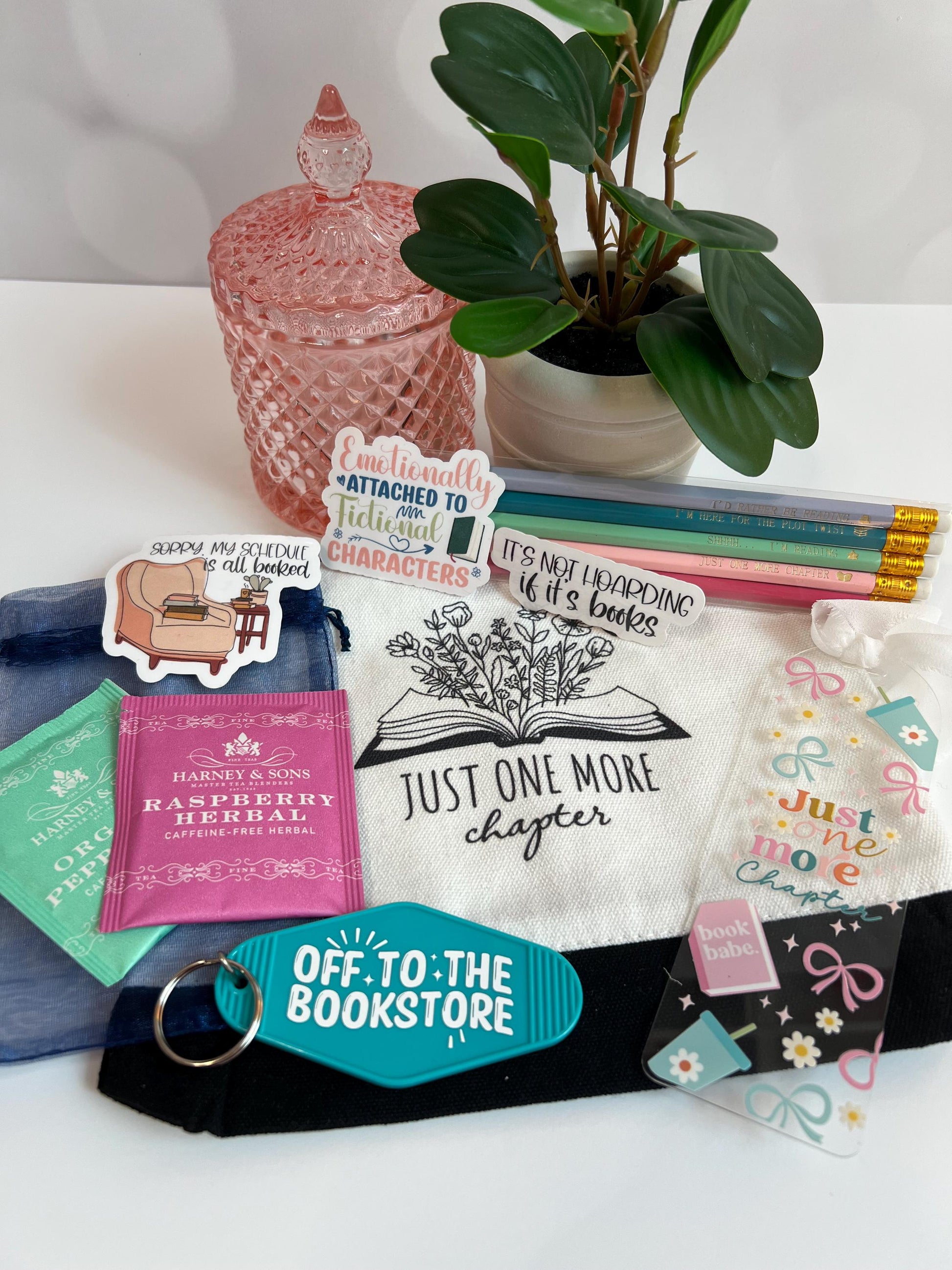 Book Lover Gift - bookmark, stickers, bag, pencils, keychain, tea, Christmas, Birthday