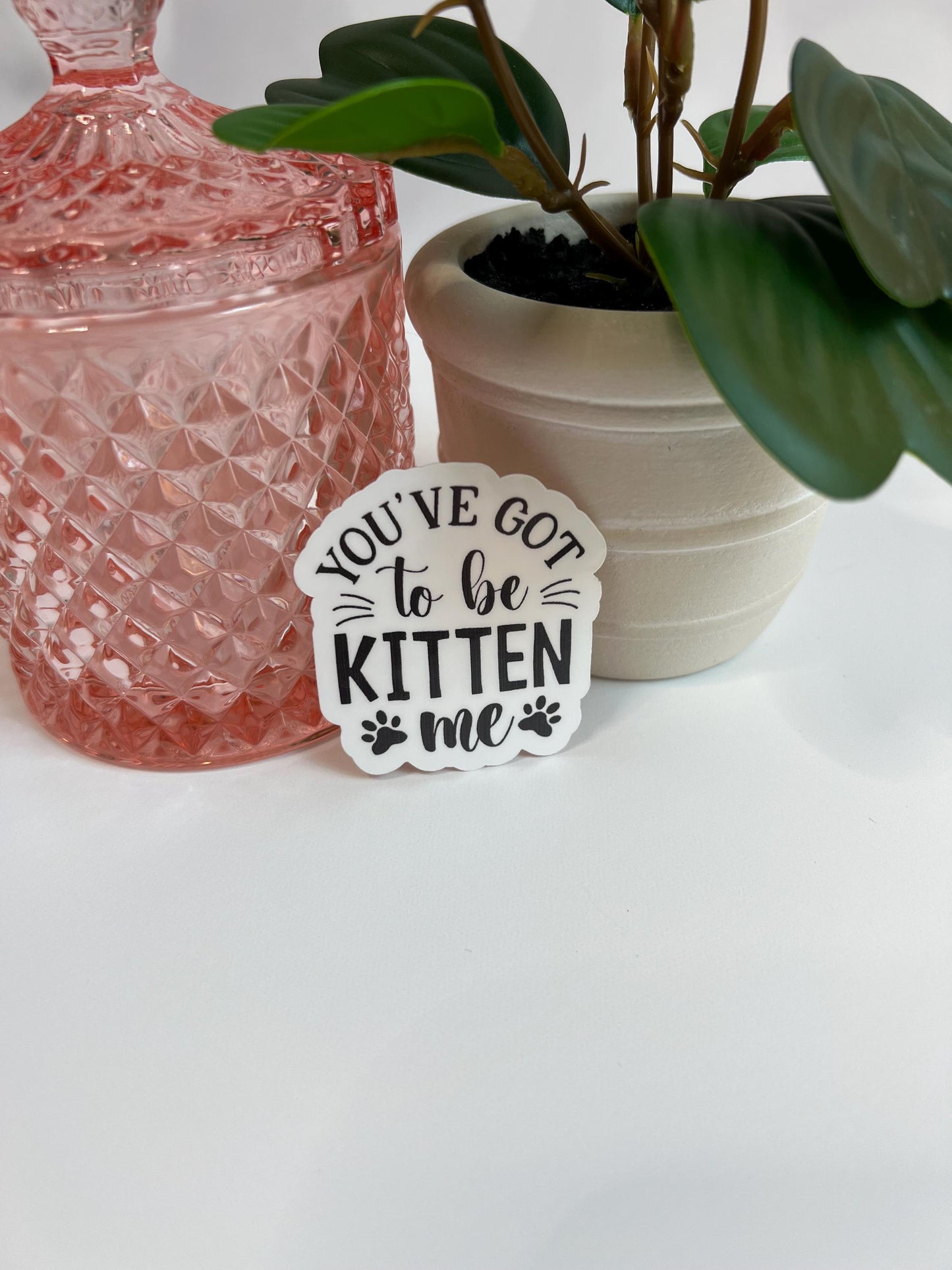 You've Got To Be Kitten Me Sticker: Water-Resistant Laptop Decal