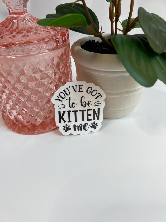 You've Got To Be Kitten Me Sticker: Water-Resistant Laptop Decal