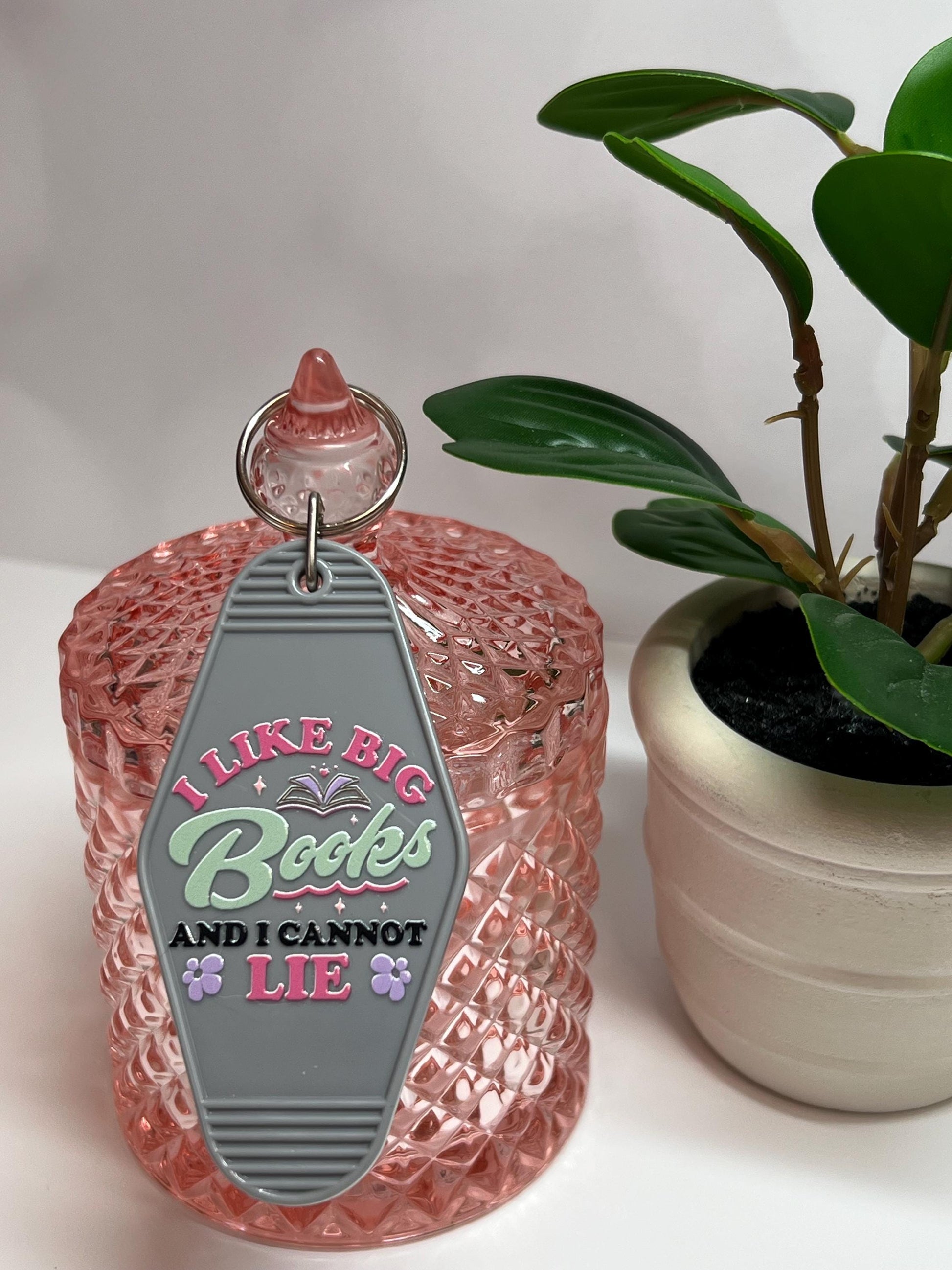 I Like Big Books and I Cannot Lie Motel Keychain: Gift for Book Lover